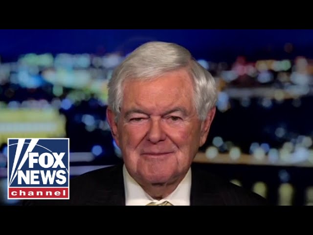 ⁣Newt Gingrich: The fake news has gone hysterical