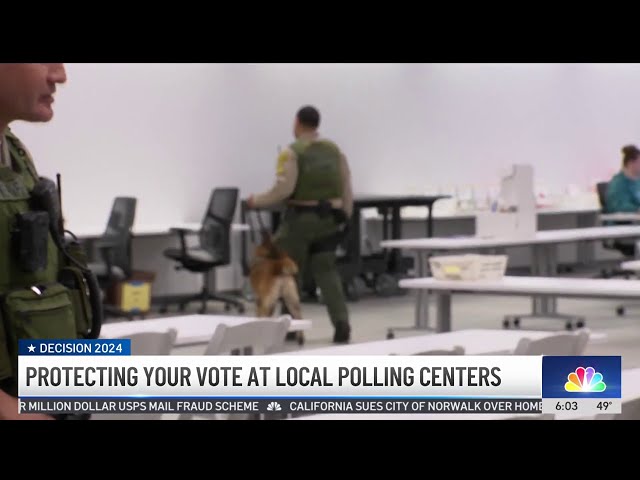 ⁣Protecting your vote at local polling centers