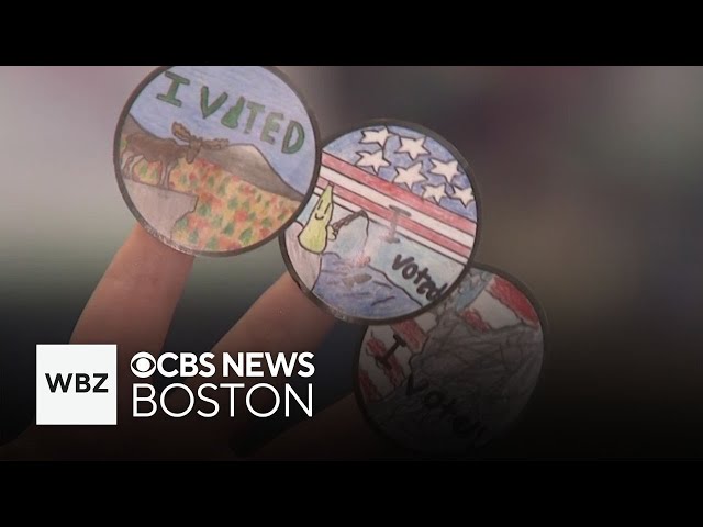 ⁣Voters flock to polls in New Hampshire on Election Day