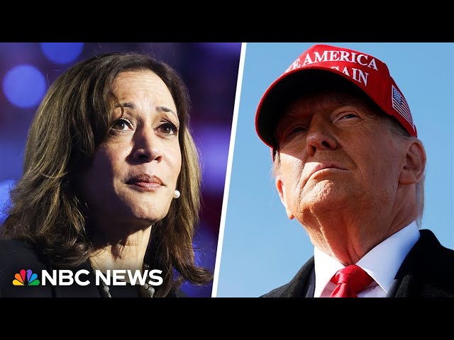 ⁣Trump and Harris focus on swing states in final 24 hours