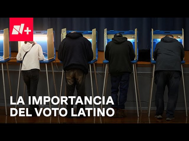 ⁣Aumenta número de latinos elegibles para votar en Elecciones de EE. UU. - Despierta