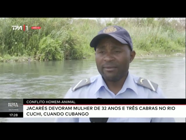 ⁣Conflito Homem-Animal Jacarés devoram mulher de 32 anos e três cabras no rio Cuchi, Cuando-Cubango