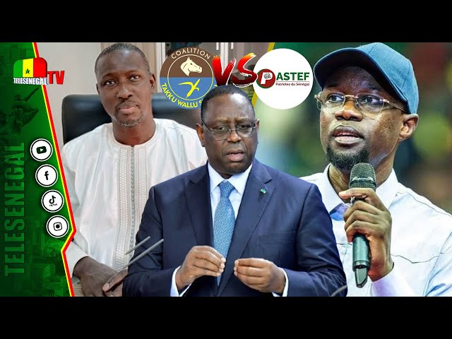 ⁣[LIVE] Takku Wallu affronte Pastef,SONKO recrute, MACKY parle... Mouhamadou Faye dévoile tous les…!