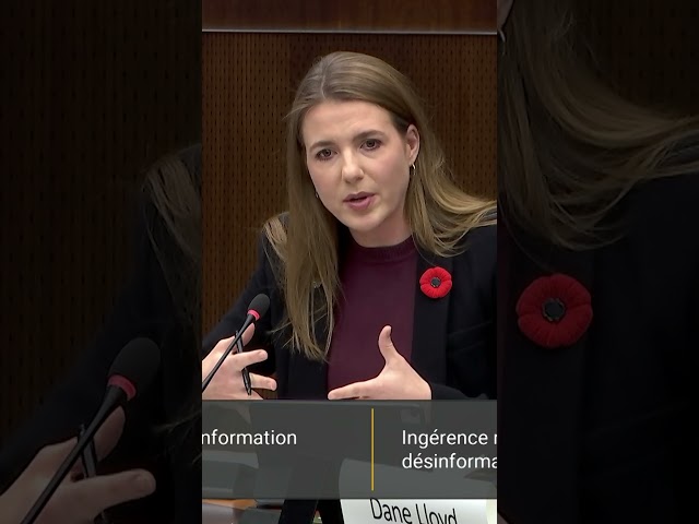 ⁣Canadian linked to Russian influence campaign refuses to answer questions