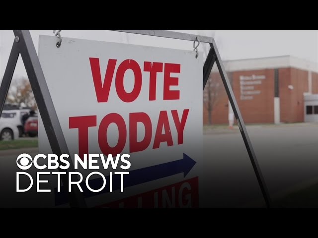 ⁣A look at voter turnout at Metro Detroit polling locations