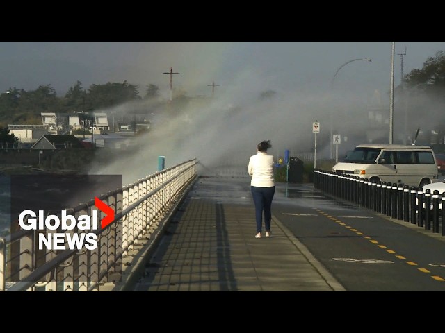 ⁣BC storm: Destructive wind topples trees, knocks out power on South Coast