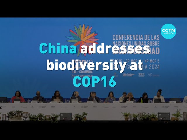 ⁣China addresses biodiversity at COP16