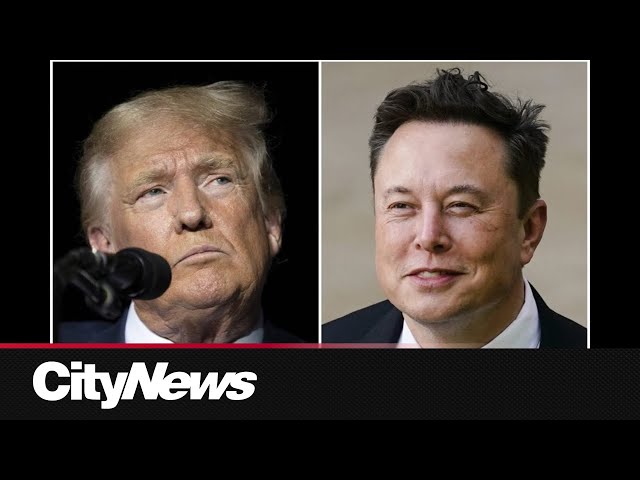 ⁣Trump viewing party could include Elon Musk