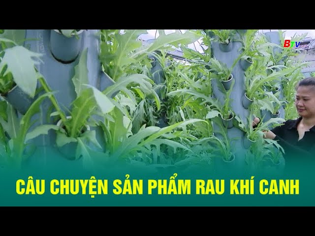 ⁣Câu chuyện sản phẩm rau khí canh