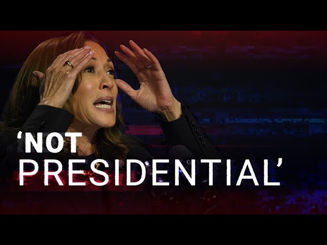 ⁣'Not presidential': Kamala Harris slammed by top geopolitics expert