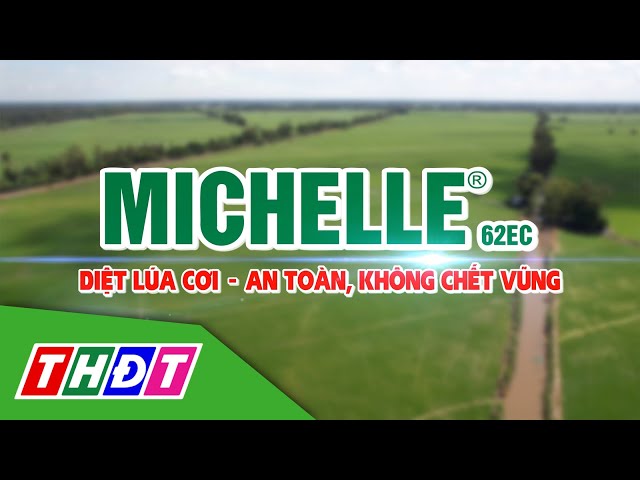 ⁣VFC Cánh đồng hội nhập 2024 kỳ 20 | Michelle 62EC - Diệt lúa cơi - An toàn, không chết vũng | THDT