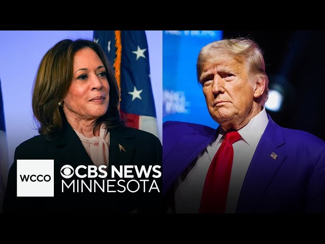 ⁣How Harris, Trump are performing among older voters in Wisconsin, Michigan