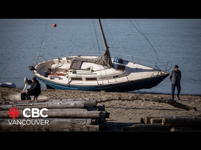 ⁣Number of boats run aground in Vancouver's False Creek after windstorm