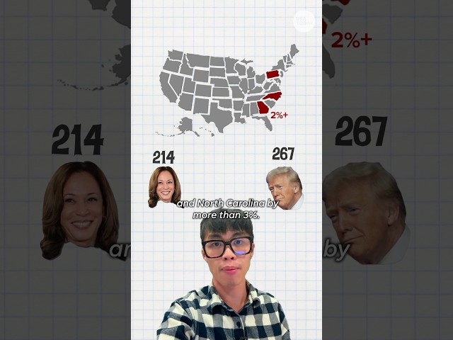 ⁣Former President Donal Trump is a few electoral votes away from winning the 2024 election.