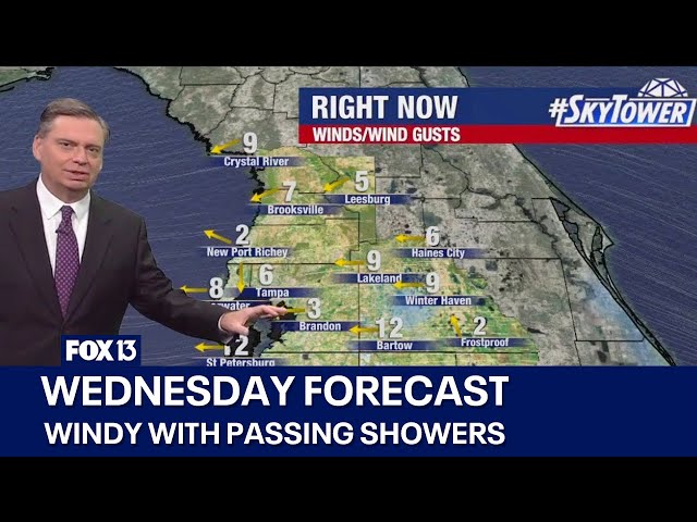 ⁣Tampa weather | Windy with passing showers