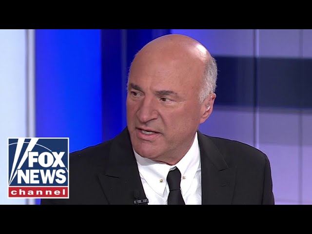 ⁣Kevin O’Leary: Trump saved the Democrats, too