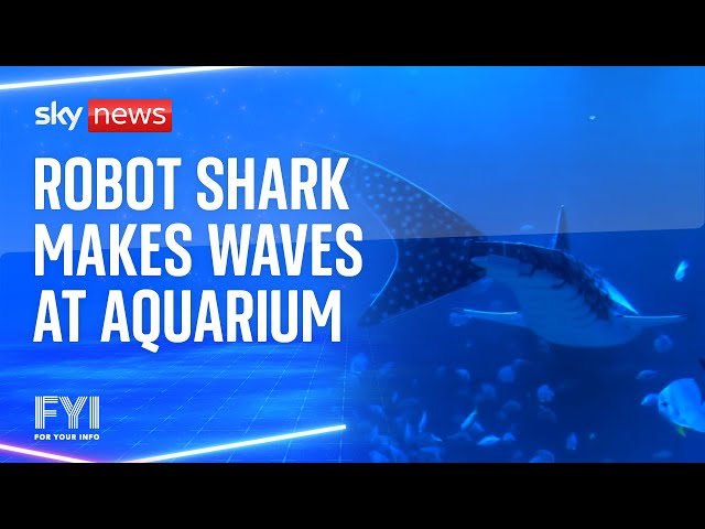 ⁣Robot shark makes waves at aquarium in China