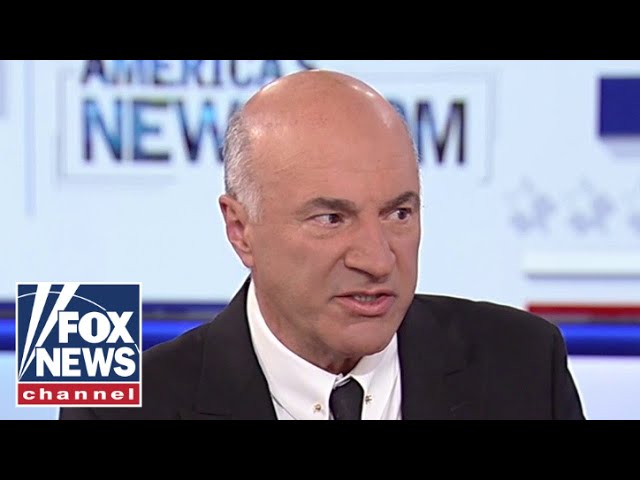 ⁣Kevin O'Leary: This is what Democrats missed in 2024