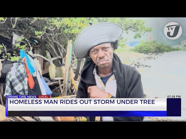 ⁣Homeless Man Rides out Storm Under Tree | TVJ News