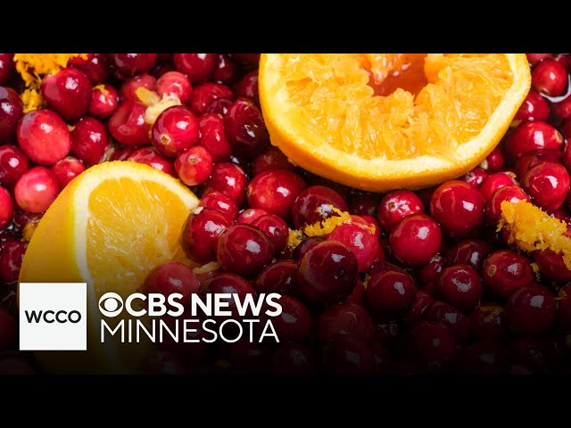 ⁣Cranberries: a Thanksgiving staple AND perfect subject for science experiments