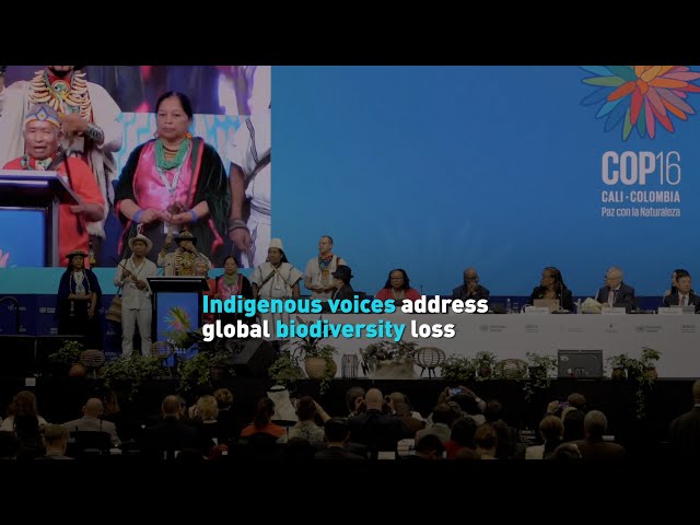 ⁣Indigenous voices address global biodiversity loss