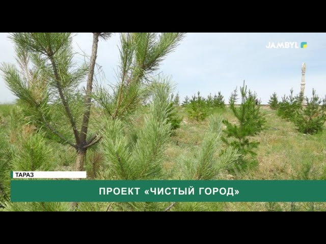 ⁣Проект «Чистый город»