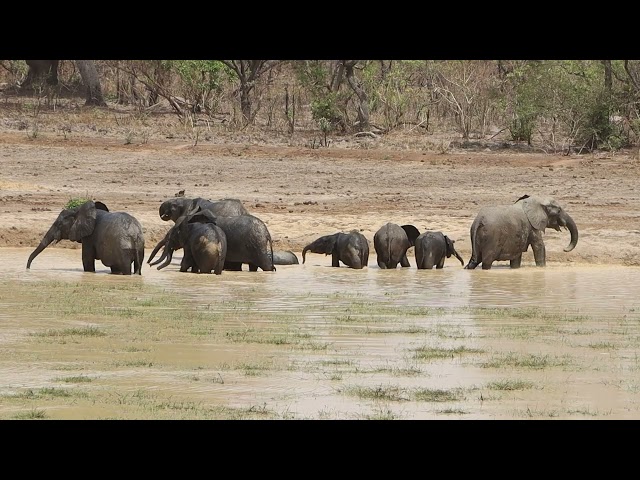 ⁣Gestion de la biodiversité: le Bénin, un cas d'école en Colombie