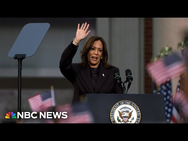 ⁣Where the Democratic Party goes next as Kamala Harris concedes 2024 election