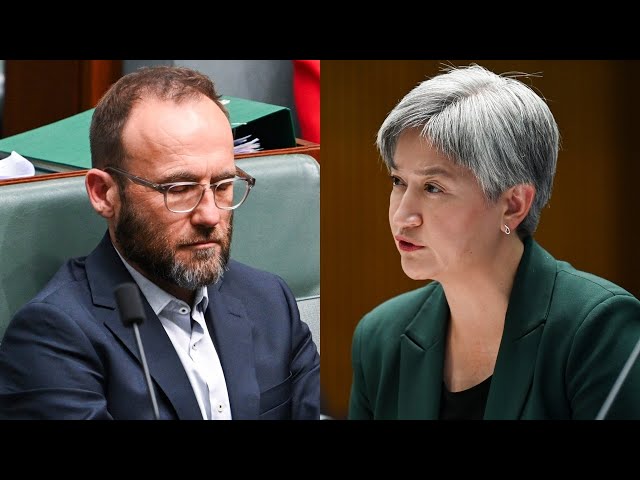 ⁣‘Irresponsible’: Penny Wong calls out Adam Bandt for comments on Trump’s victory