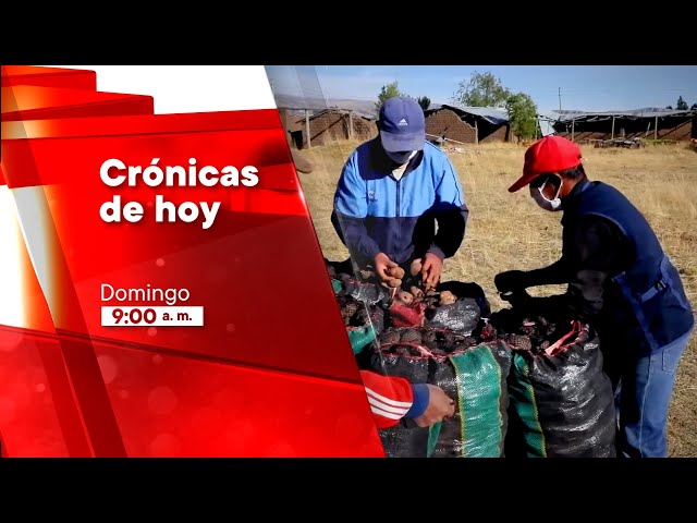 ⁣Crónicas de Hoy (10/11/2024) Promo | TVPerú