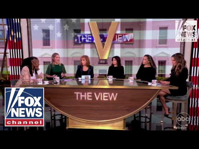 ⁣'Profoundly disturbing': 'The View' digests Trump's election win