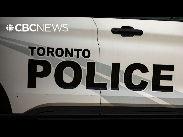 ⁣Charges laid in $2.18M Toronto auto theft fraud