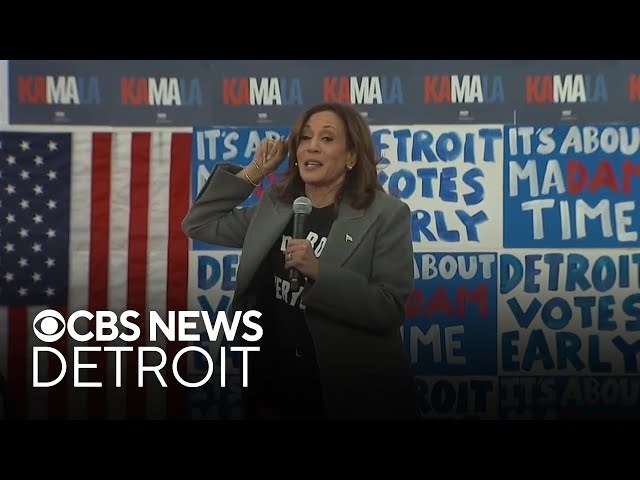 ⁣Michigan political experts weigh in on 2024 election after Harris concedes