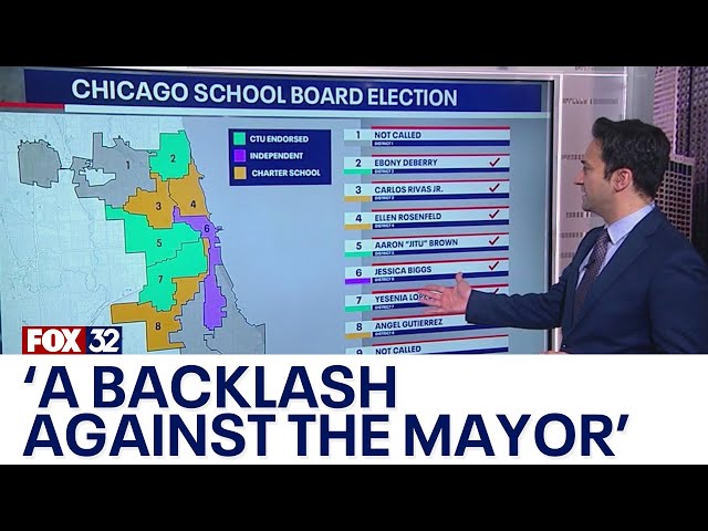 ⁣'A backlash against the mayor': Chicago's historic school board election results