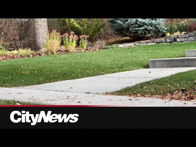 ⁣Calgary landscapers enjoying extended season due to dry weather