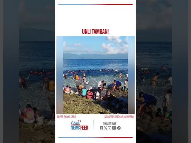 ⁣Mga residente, nagpiyesta sa tamban! | GMA Integrated Newsfeed