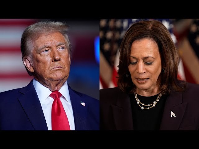 ⁣‘Emphatic’: Donald Trump talked about issues which ‘mattered’ while Harris did not