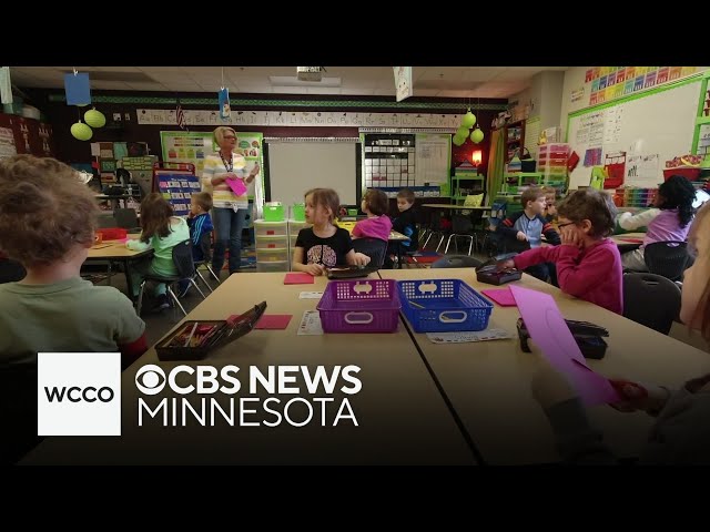 ⁣A majority of school referendums failed as Minnesotans cast their ballots