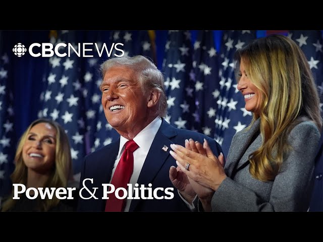 ⁣Economy trumped Trump's controversies in election comeback: strategist | Power & Politics