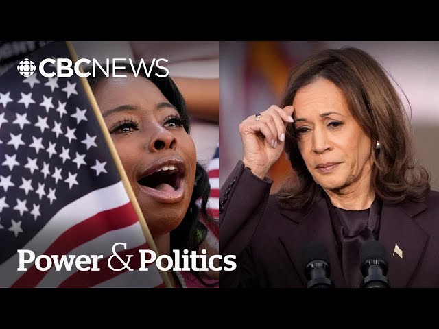 ⁣Democrats dissect where Harris presidential campaign went wrong | Power & Politics