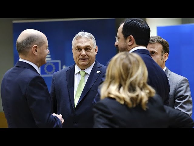 ⁣EU leaders meet in Budapest with a burning question: How do we deal with Trump?