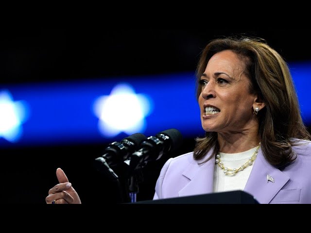 ⁣Kamala Harris’ polling ‘never recovered’ after labelling Donald Trump a ‘fascist’