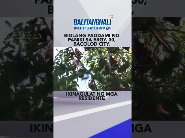 ⁣Pagdami ng mga paniki sa Brgy. 30, ikinagulat ng mga residente #shorts | Balitanghali