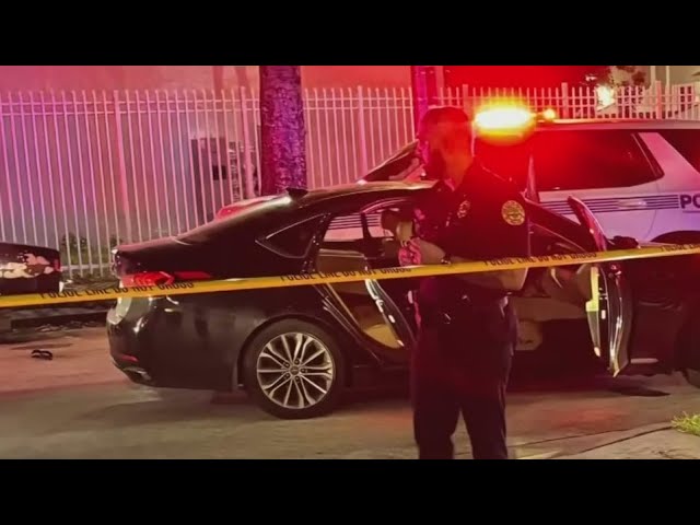 ⁣3 women shot in Miami following dispute over Tuesday's General Election