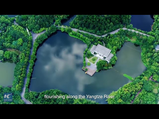 ⁣Discover Xianning: A Land of History, Nature, and Connectivity