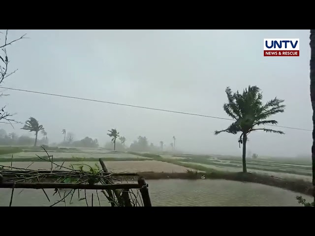 ⁣Malakas at mapanirang hangin dala ng Bagyong Marce sa Gonzaga, Cagayan