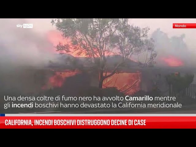 ⁣California, incendi boschivi distruggono decine di case