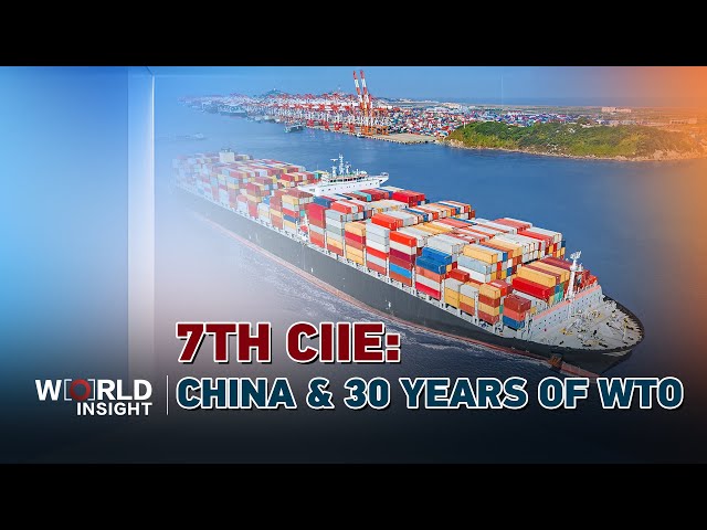 ⁣7th CIIE: How China's role has evolved after 30 years of WTO