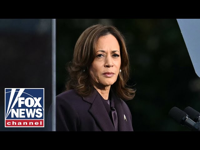 ⁣Dems' blame game on Kamala Harris' loss in full swing: 'Ivory-tower nonsense'