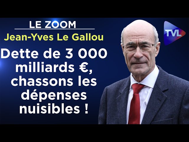 ⁣Parasitisme, clientélisme... Haro sur les dépenses nuisibles ! - Le Zoom - Jean-Yves Le Gallou - TVL